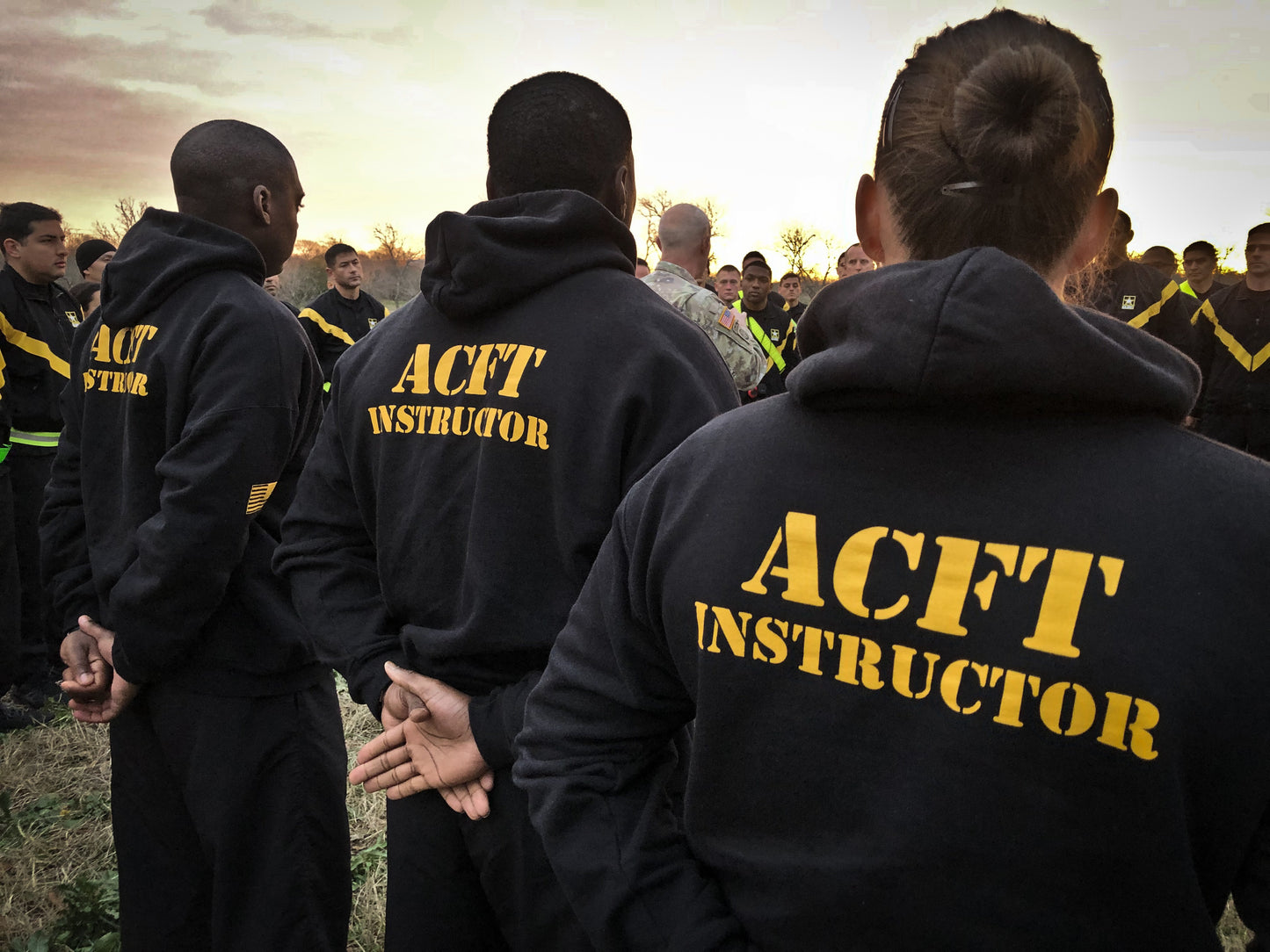 THE ACFT Program